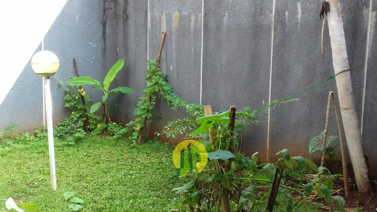 Taman