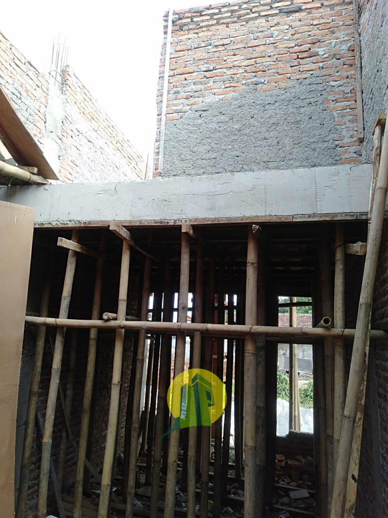 Golden Palm Premier (2).jpeg