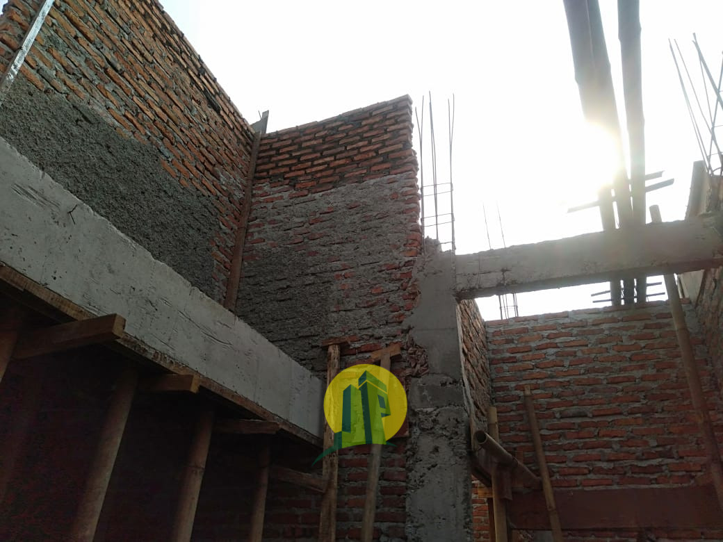 Golden Palm Premier (3).jpeg