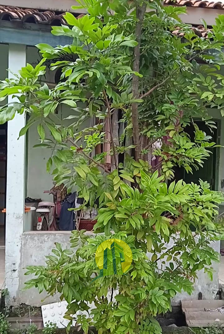 Kontrakan 4 Pintu3.jpeg