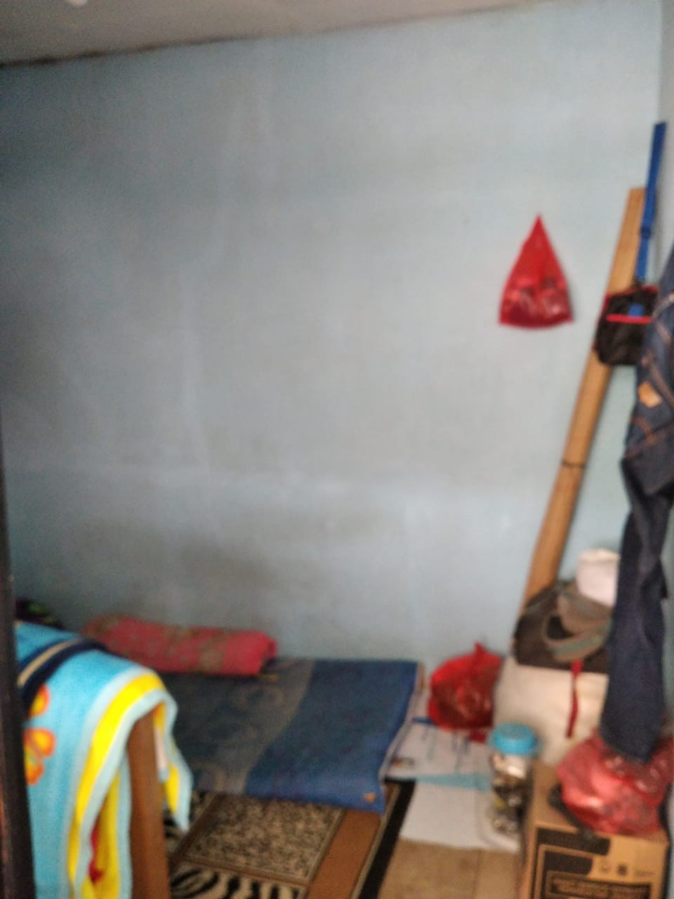 kt rmh 2lt di jatinegara jaktim.jpeg