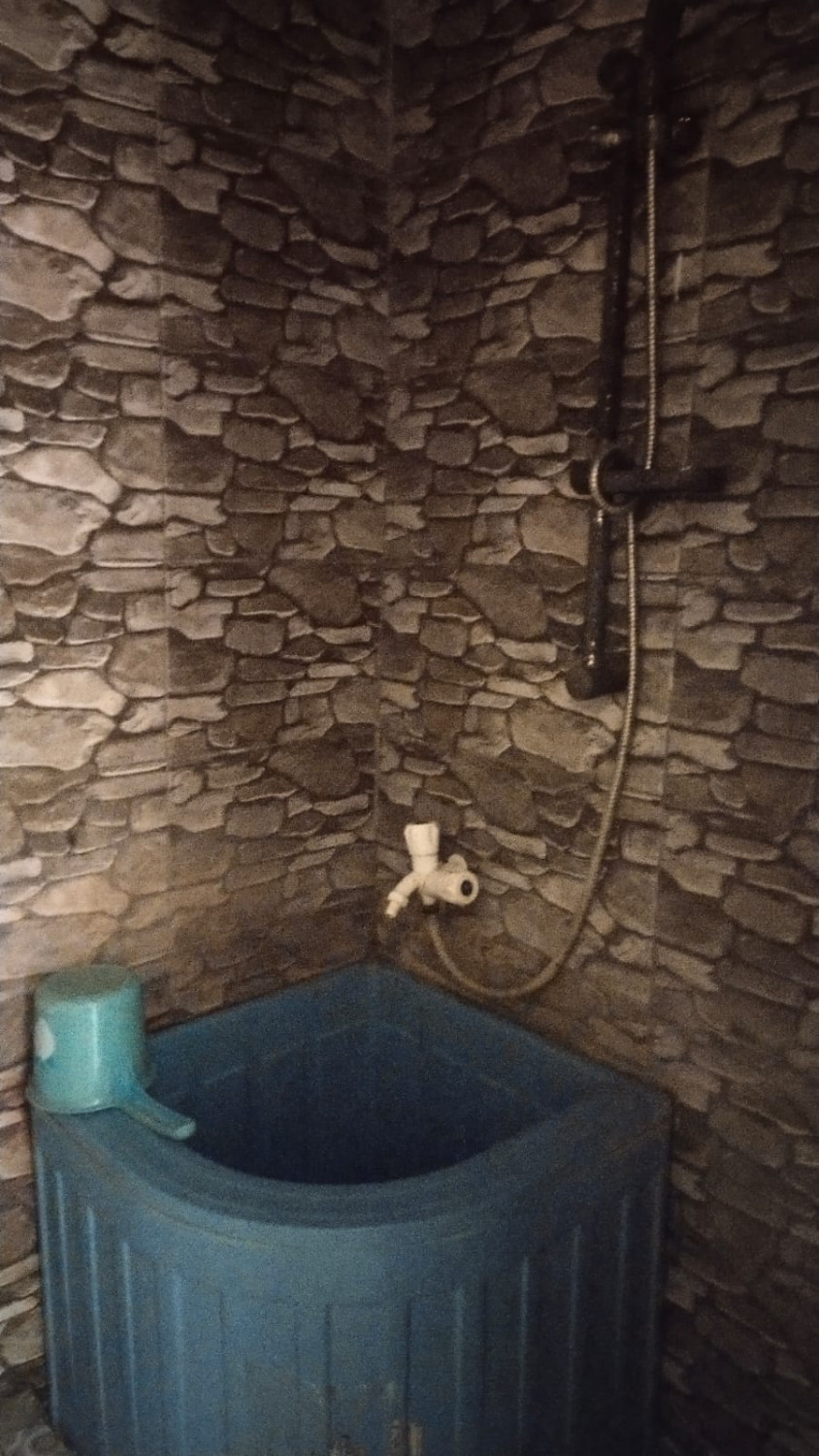 toilet.jpeg