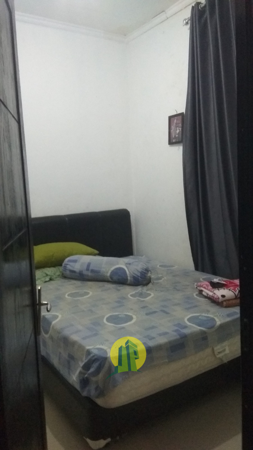  cluster amarilis (2).jpeg